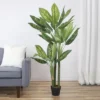 Northlight 59" Artificial Wide Leaf Green Dieffenbachia Potted Plant