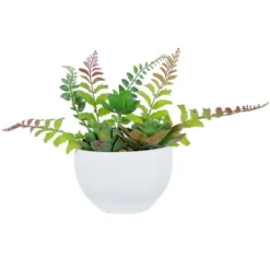 Northlight 11.5" Mixed Succulent And Fern Artificial Potted Plant - Green/White -Home Decor GUEST 62b2cfe4 b500 4970 914f b7c44778a62f