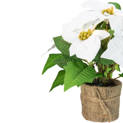 Northlight 11.75" LED Artificial White Poinsettia Potted Plant - Clear Lights 2 Northlight 11.75" LED Artificial White Poinsettia Potted Plant - Clear Lights - Image 2