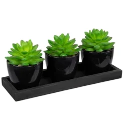 Northlight Mini Artificial Potted Succulents With Wood Planter - 5" - Set Of 3 -Home Decor GUEST 6715a7b8 3050 436a a2b3 fe656052e9f1