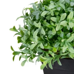Northlight 7.5" Potted Green Artificial Boxwood Plant -Home Decor GUEST 684a4e13 adb8 4422 ae75 f862851a74ea