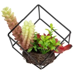 Northlight 5.5" Artificial Succulent Arrangement In Black Metal Wire Frame -Home Decor GUEST 68e0c154 15db 4cca 9a11 5dc80a312120