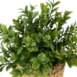 Northlight 7" Artificial Milan Leaf Bush In Rattan Basket -Home Decor GUEST 6c6d29b2 2448 4172 9352 5c61221e93d5