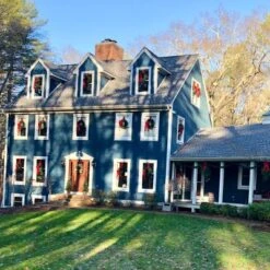 Northlight 24" Unlit Canadian Pine Artificial Christmas Wreath -Home Decor GUEST 6cca1dfc a278 43b6 ab26 36d525bf9ff4