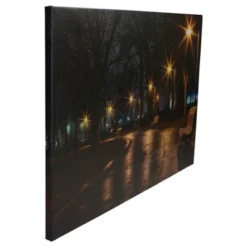 Northlight LED Lighted Nighttime City Park Scene Canvas Wall Art 23.75" -Home Decor GUEST 6cf1b765 1f6a 4971 b7e3 0dace5ec683e