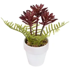 Northlight Succulent Fern In Ceramic Pot - 8" -Home Decor GUEST 6fd3c6d9 5c56 408a a272 ece6875110ef
