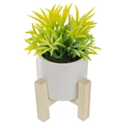 Northlight 8" Potted Green Artificial Succulent With Wooden Stand -Home Decor GUEST 70f11cfc 0f54 44ec 9fb3 925213a2a4ad