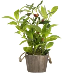 Northlight Artificial Olive Plant In Rustic Pot With Handles - 14" -Home Decor GUEST 72bc1f48 a5c6 4e3a 8d3e 33fdbf36ff66