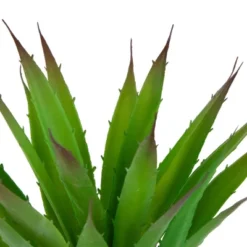 Northlight 13.5" Agave Succulent Artificial Potted Plant - Green/White -Home Decor GUEST 734cf9eb 1e2a 4c42 b4ec 2a9ed2f26d92