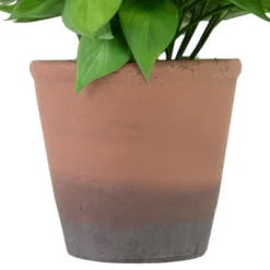 Northlight Real Touch™ Artificial Peperomia Watermelon Begonia Plant In Terracotta Style Pot - 7" -Home Decor GUEST 77ea09ec e45a 40aa abd9 3879e08d5894