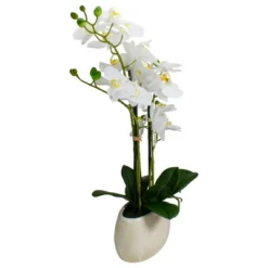 Northlight 22" Artificial White And Yellow Orchid Plant With A White Oval Pot Tabletop Decor -Home Decor GUEST 780d0afe 1fa3 4dc8 8bd0 cd3295d93b1c