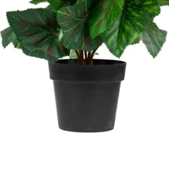 Northlight 11" Cream Potted Silk Begonia Spring Artificial Floral Arrangement -Home Decor GUEST 7931266b d73f 4bb9 837c bdbb6c5500f0