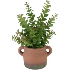 Northlight Real Touch™ Artificial Privet Plant In Vintage Milk Can Style Earthenware Pot - 14" -Home Decor GUEST 7bb5343f 410d 43a4 a6ac 409a8d669a88