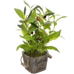 Northlight Artificial Olive Plant In Rustic Pot With Handles - 14" -Home Decor GUEST 7c4a15ad b7fd 449f a940 b57c54cc91c0