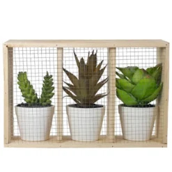 Northlight 10.75" Artificial Mixed Potted Succulents In Wooden Box -Home Decor GUEST 7c645dbe 002a 4fb4 9448 945b9fe90901