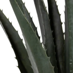 Northlight 31.5" Aloe Succulent Artificial Potted Plant - Green 9 Northlight 31.5" Aloe Succulent Artificial Potted Plant - Green -Home Decor GUEST 7eb21ea3 77cd 415c b818 9f6b472087b3