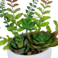 Northlight 11.5" Mixed Succulent And Fern Artificial Potted Plant - Green/White -Home Decor GUEST 7f8241e2 ab8c 4697 8ea6 69f7f6f8e85a
