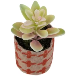 Northlight Artificial Pastel Succulent In Burlap Bag - 4.75" -Home Decor GUEST 7fbdf512 d22a 4816 a38f baed5eb15568