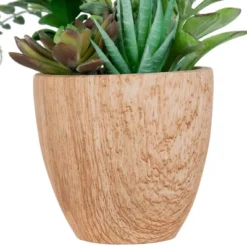 Northlight 12" Mixed Succulents And Fern Artificial Potted Arrangement - Green/Brown -Home Decor GUEST 817c2544 5aa7 42f2 a6e1 77eca9abcbff