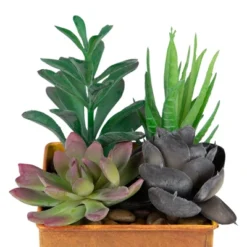 Northlight 7" Mixed Succulent Artificial Potted Arrangement - Green/Black -Home Decor GUEST 81f58181 cf3b 4589 acff 282627942e79