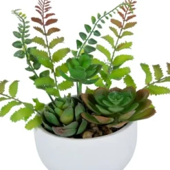 Northlight 11.5" Mixed Succulent And Fern Artificial Potted Plant - Green/White -Home Decor GUEST 82f8a62b 8fa4 429d 9fa5 6b7e717e6623