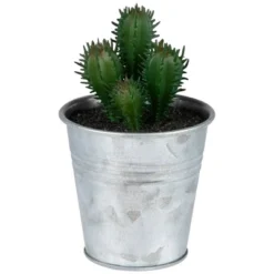 Northlight 3.5" Tropical Cactus In Tin Pot Artificial Potted Plant - Green/Red 8 Northlight 3.5" Tropical Cactus In Tin Pot Artificial Potted Plant - Green/Red -Home Decor GUEST 8a2d6694 21fc 41e0 878f 57610dcf5e66