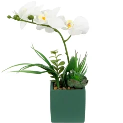 Northlight 12" Orchid And Succulents Artificial Potted Flower Arrangement - Green/White -Home Decor GUEST 8a75c01c 96d0 4a82 b81f ff82c1507c2e