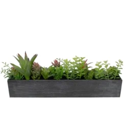 Northlight 23" Artificial Mixed Succulent Plants In A Rectangular Planter -Home Decor GUEST 8ef18065 5d8e 48e4 9574 5da9f8739640