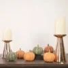 Northlight Set Of 6 Boxed Orange And Green Pumpkin Thanksgiving Decorations