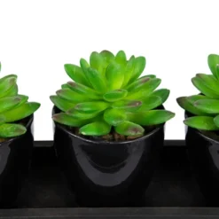Northlight Mini Artificial Potted Succulents With Wood Planter - 5" - Set Of 3 -Home Decor GUEST 90905cf3 3176 4ed5 99a9 d98fb835e02f