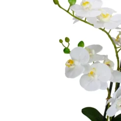 Northlight 22" Artificial White And Yellow Orchid Plant With A White Oval Pot Tabletop Decor -Home Decor GUEST 91c98237 c7ff 4863 96b9 dee3d7b3f16f