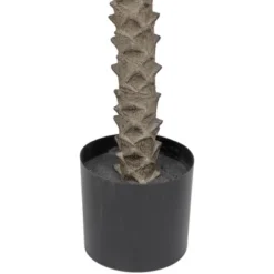 Northlight Artificial Potted Palm Trees - 6' - Set Of 2 10 Northlight Artificial Potted Palm Trees - 6' - Set Of 2 -Home Decor GUEST 958ee270 41e9 44ab 9733 d0bff67a92be