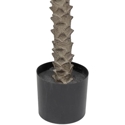 Northlight Artificial Potted Palm Trees - 6' - Set Of 2 5 Northlight Artificial Potted Palm Trees - 6' - Set Of 2 - Image 5