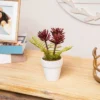 Northlight Succulent Fern In Ceramic Pot - 8"