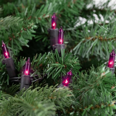 Northlight Mini Incandescent Christmas Lights - Purple - 7' Black Wire - 35ct 2 Northlight Mini Incandescent Christmas Lights - Purple - 7' Black Wire - 35ct - Image 2