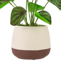 Northlight 10.25" Artificial Peperomia Plant In Two-Tone Ceramic Pot -Home Decor GUEST 9717fb24 19da 4293 a814 8ab59c4b7a8b