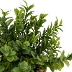 Northlight 7" Artificial Milan Leaf Bush In Rattan Basket -Home Decor GUEST 9779718a 118e 4ca7 851d baa1a781c401