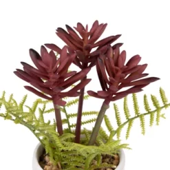 Northlight Succulent Fern In Ceramic Pot - 8" -Home Decor GUEST 9a7f5143 a1db 4939 b896 2b8c5189e7a1