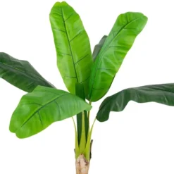 Northlight 4' Artificial Tropical Banana Tree In A Clay Pot -Home Decor GUEST 9d133ffc e298 4e6d a3a3 c27e60a68936