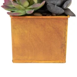 Northlight 7" Mixed Succulent Artificial Potted Arrangement - Green/Black -Home Decor GUEST 9d411d77 80cf 4377 a0a2 9dd957429cba