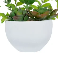 Northlight 11.5" Mixed Succulent And Fern Artificial Potted Plant - Green/White -Home Decor GUEST a07304ca 9cf8 426c a772 086014d64178