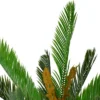 Northlight 5' Potted Two Tone Green Cycas Artificial Floor Plant