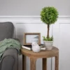 Northlight 17" Round Boxwood Topiary Artificial Potted Tree - Green/Gray