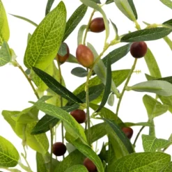 Northlight Artificial Olive Plant In Rustic Pot With Handles - 14" -Home Decor GUEST a532d01a 92a0 45e6 b796 8029e0f1ce55