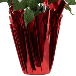 Northlight 26" White Artificial Christmas Poinsettia In Red Wrapped Base 8 Northlight 26" White Artificial Christmas Poinsettia In Red Wrapped Base -Home Decor GUEST a5ffe649 2329 412d b16f 13139f8caa12