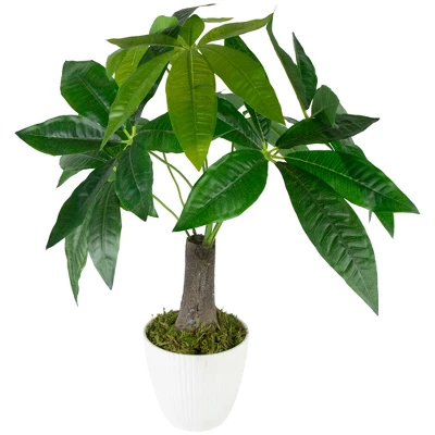 Northlight 18.5" Artificial Guiana Chestnut Plant In White Pot 2 Northlight 18.5" Artificial Guiana Chestnut Plant In White Pot - Image 2