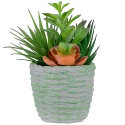 Northlight 8.5" Mixed Succulent Artificial Potted Arrangement - Green/Brown -Home Decor GUEST a7998bc1 d5a3 4887 98ac bc5749eea9e8