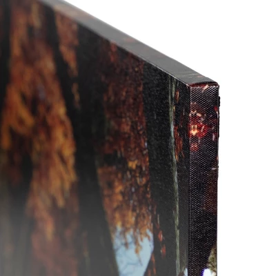 Northlight LED Lighted Fall Tree Archway With Lanterns Canvas Wall Art 23.5" X 15.5" 1 Northlight LED Lighted Fall Tree Archway With Lanterns Canvas Wall Art 23.5" X 15.5"