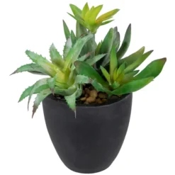 Northlight 11" Mixed Succulent Plant Artificial Potted Arrangement - Green/Black -Home Decor GUEST a970afae 0403 4f35 95a6 773b76a5cde1