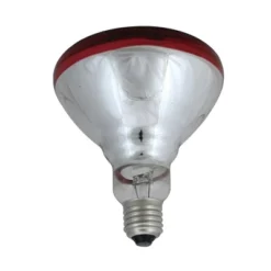 Northlight Incandescent Weatherproof 100 Watt Indoor/Outdoor Red Flood Light Bulb